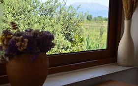 Rustic Tale Guesthouse