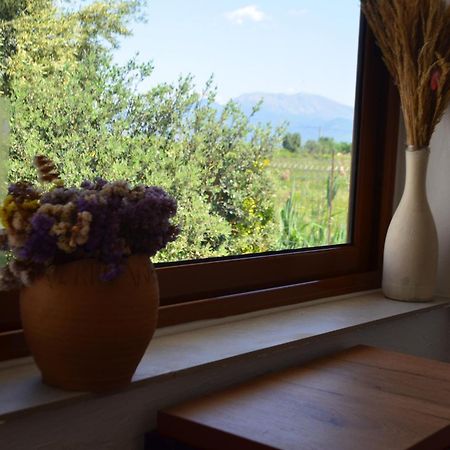 Rustic Tale Guesthouse Exterior foto