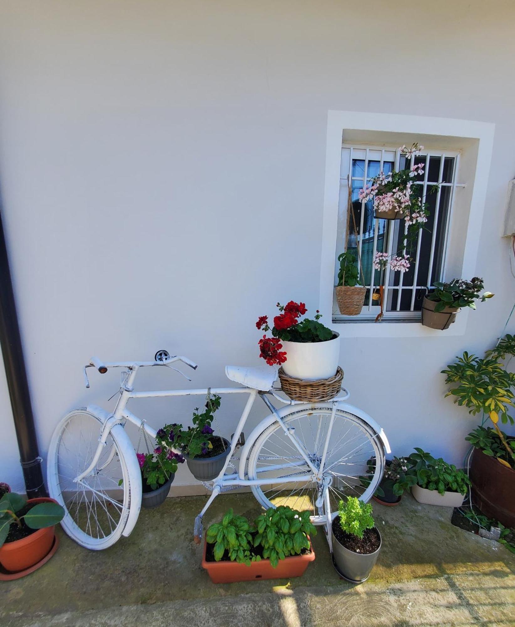 Rustic Tale Guesthouse Exterior foto